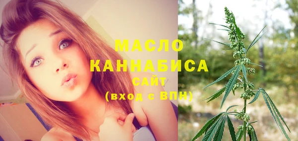 молекула духа Михайловка