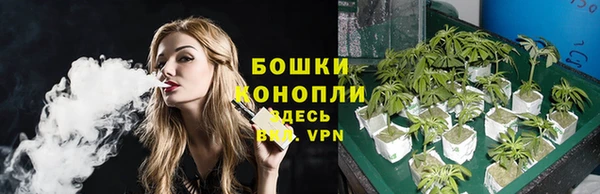молекула духа Михайловка