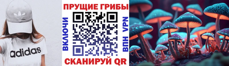 Псилоцибиновые грибы GOLDEN TEACHER  Купить где  Советская Гавань 